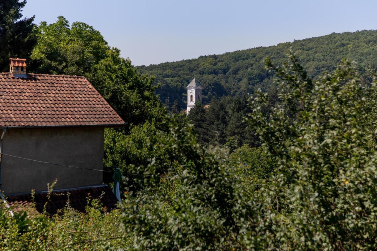 Mi Casa 2 Villa Vrdnik Esterno foto